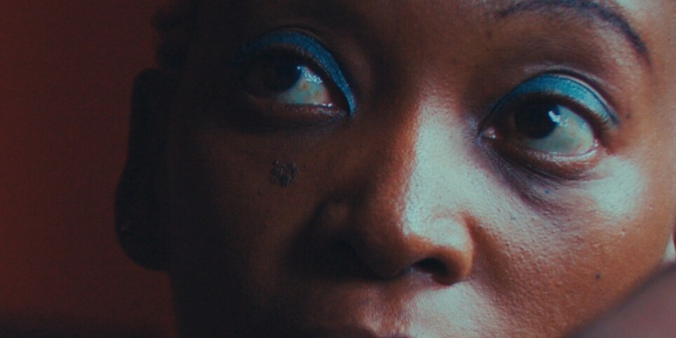 The Woman Who Poked The Leopard - Cinema