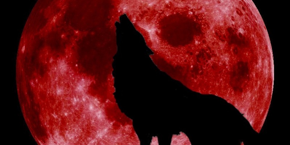 Viens jouer à la bibliothèque - Soirée Halloween : Jeu du Loup-garou (dès 9 ans) - Freizeitbeschäftigungen