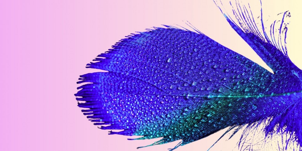 Atelier d'écriture - «Ces lettres qui changent la vie» - Workshops und Praktika