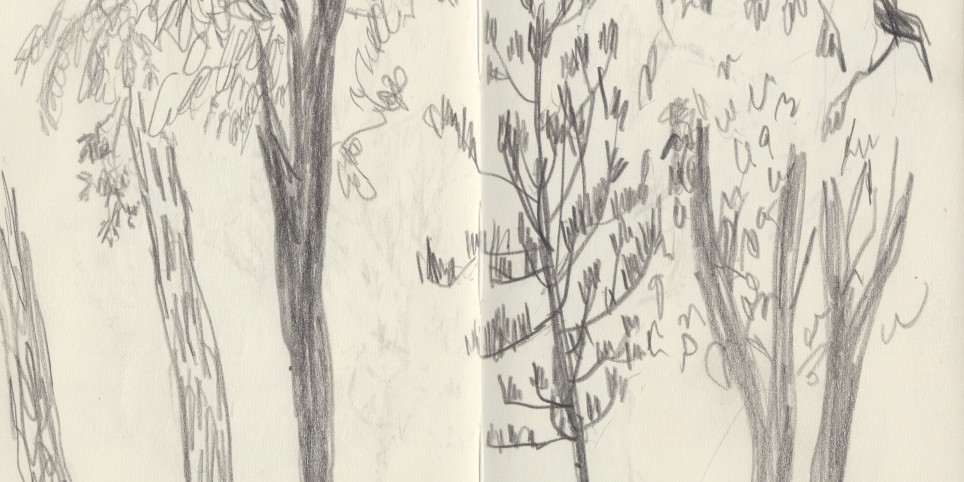 Atelier carnet de voyage - Workshop e stage