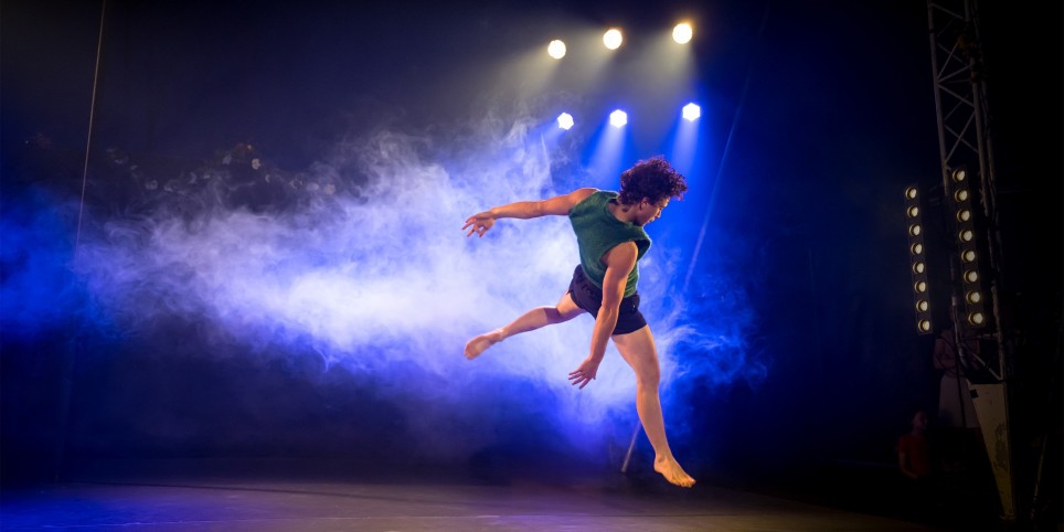 Repas spectacle de nouvel an - Théâtre et arts vivants
