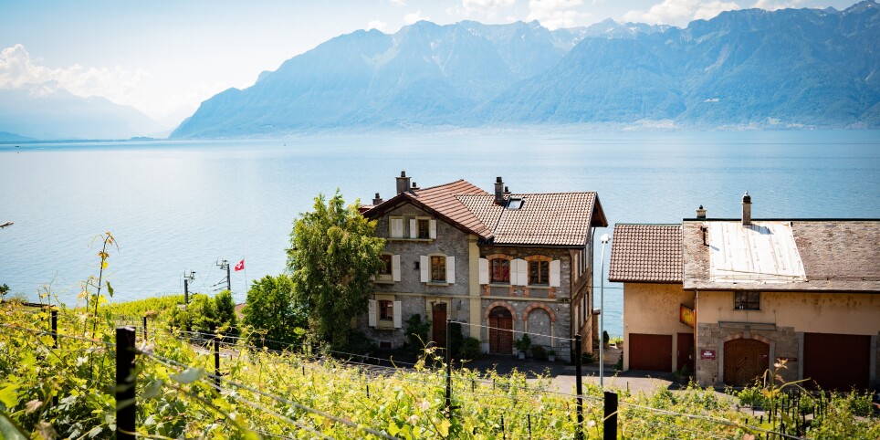 Resto Blind test au Domaine Chaudet - Leisure activities