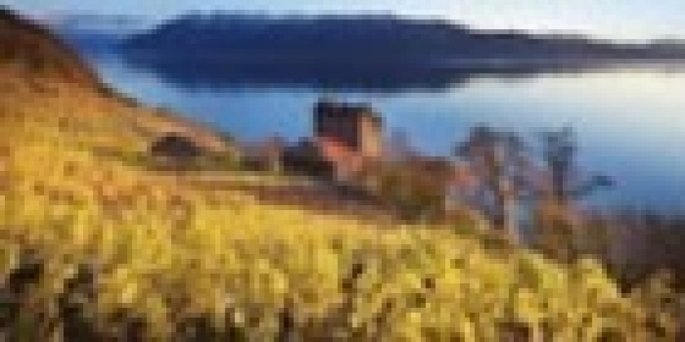 DEGUSTATION DES VINS D'ICI - Svaghi