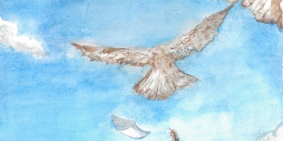 Celui qui a décidé de suivre les oiseaux - Kultur und Spektakel