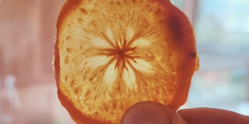 Traverser l’hiver sans s’épuiser - Workshop e stage