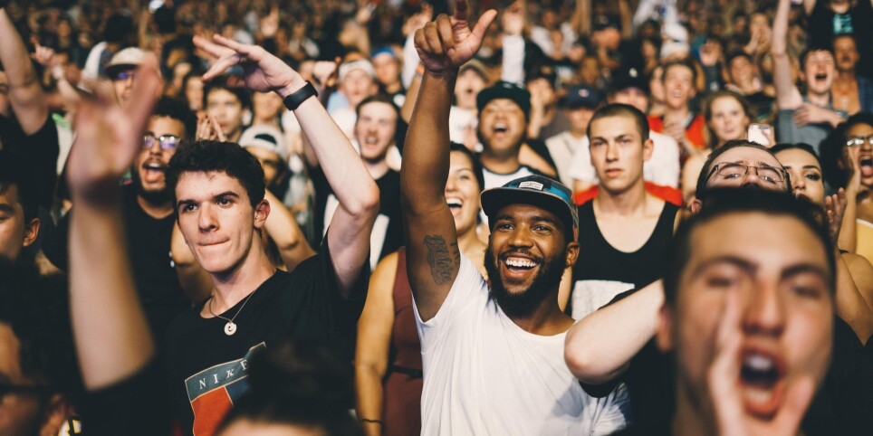 After officiel Jungle X Audio - Festivals