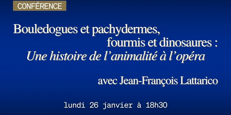 Bouledogues et pachydermes, fourmis et dinosaures - Conferenze
