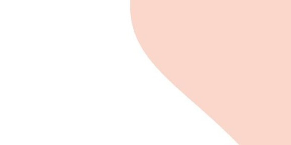 Du souffle à l'action : Inspirer, Rêver, Intégrer, Ancrer - Svaghi