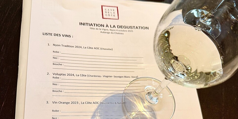 Fête de la Vigne - Initiation à l'Œnologie - Samedi 3 Octobre 2026 - Svaghi