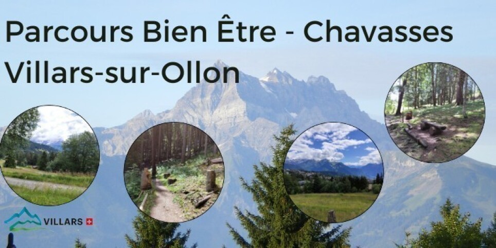 Parcours bien-être Villars sur Ollon - Walks and visits