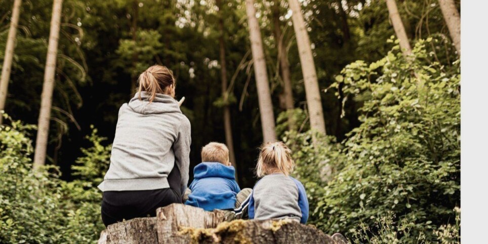 Cycle thématique - Comment parler d'écologie à nos enfants ? - 1ère séance - Ateliers et stages