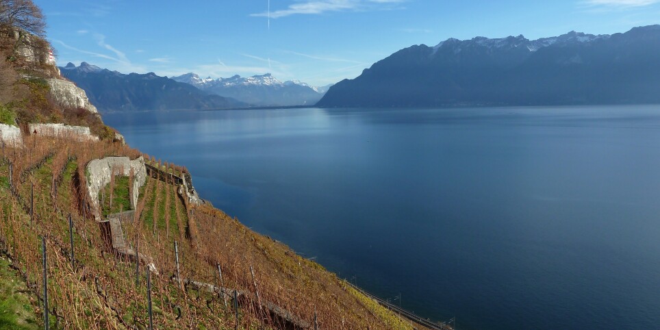 Léman Spirits Festival 2026 - Svaghi