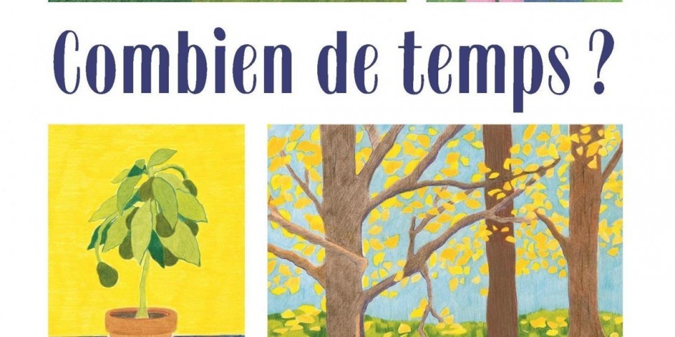La pousse des plantes - dès 8 ans - Famille