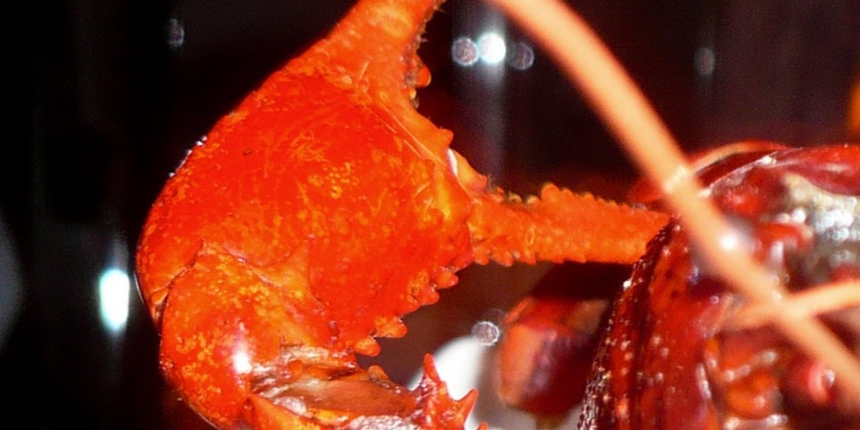 Henry IV - Theater und Bühnenkunst