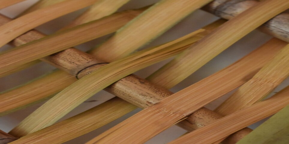 ATELIER RHIZOME // Fabrication entre femmes - Workshops and courses
