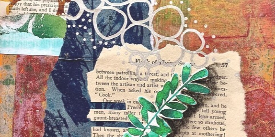 Festival Salvavita - Festivales