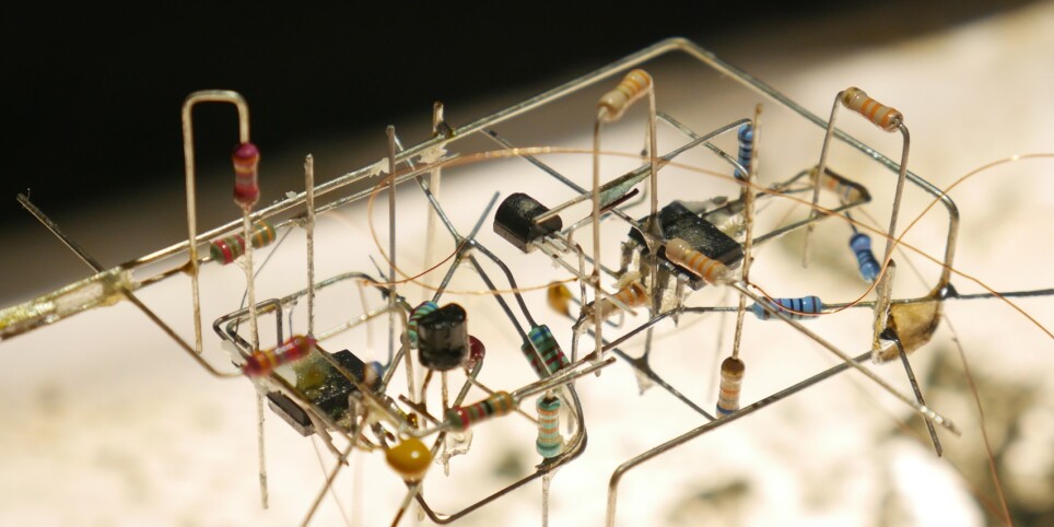 Adomas Palekas - Concerts