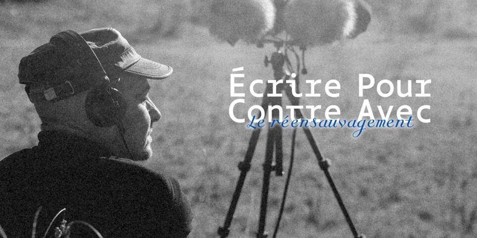 Nuit des musées : Écouter le sauvage - Culture et spectacles