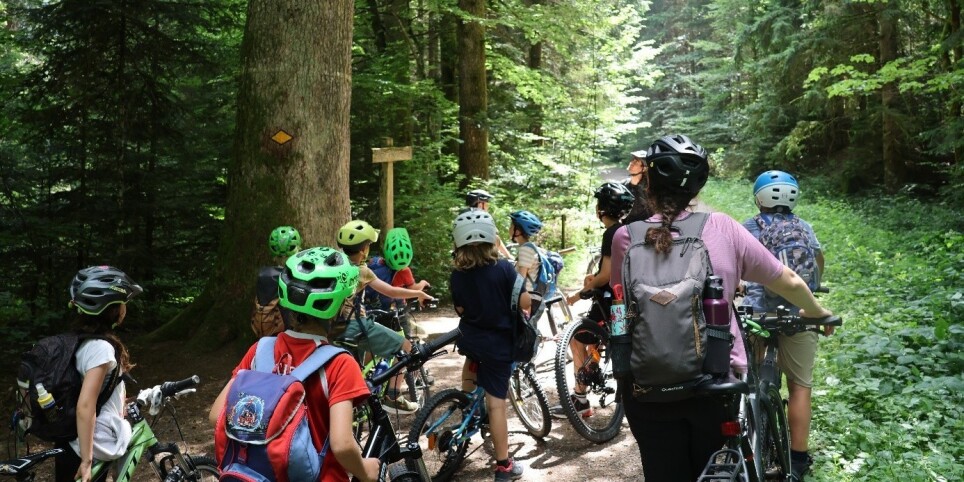 Camp d'été non résidentiel 2026 - Svaghi