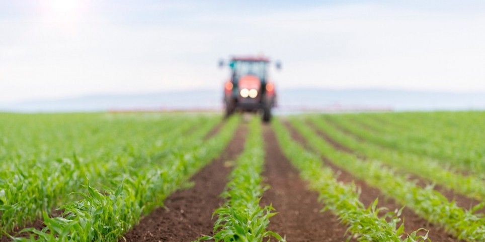 Atelier pédagogique - L'agriculture - Workshops and courses