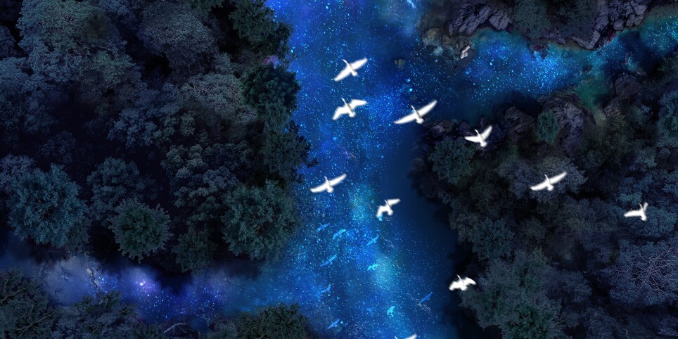 La Nuit est Belle! 2026 - Walks and visits
