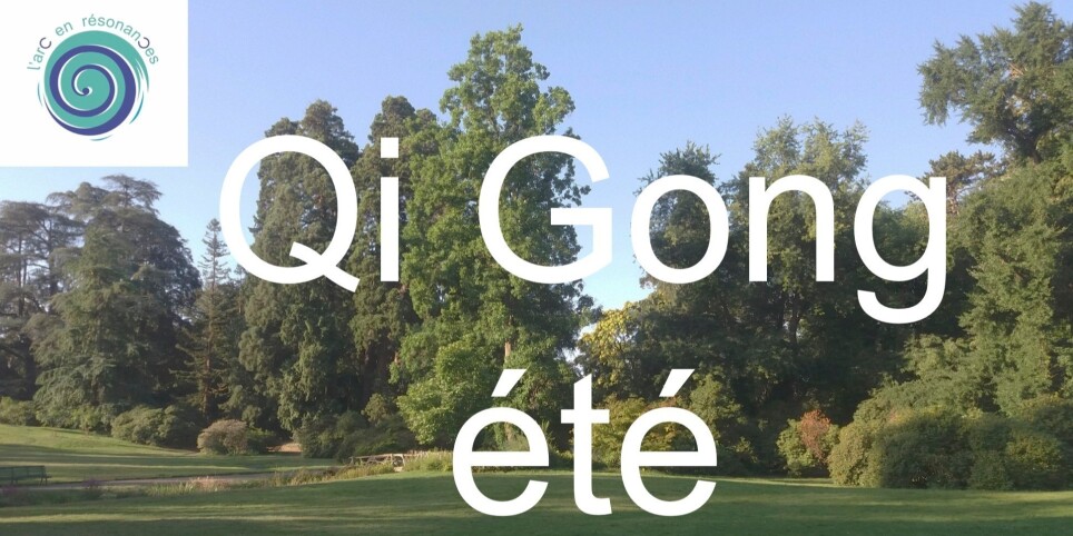 QI GONG ASSIS-Vernier - Sport