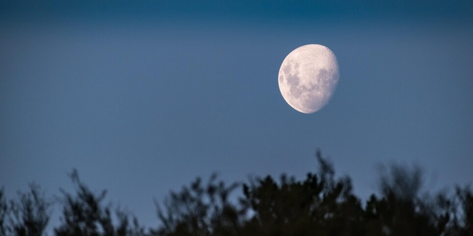 Atelier - Le jardin et la vie quotidienne avec la Lune - Konferenzen