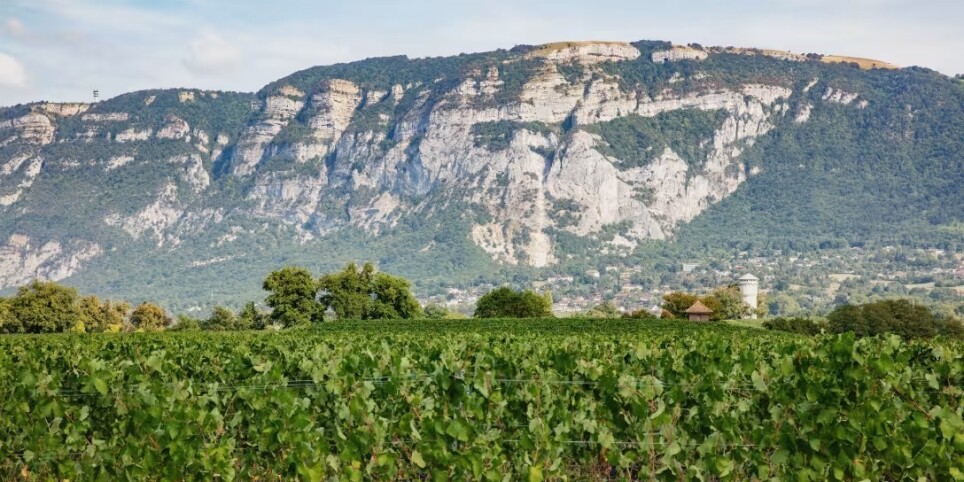 La conservation des sols dans l'agriculture - Walks and visits