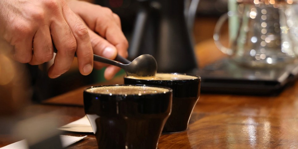 Du grain à la tasse, un café qui fait la différence - Atelier professionnel chez Carasso - Workshop e stage