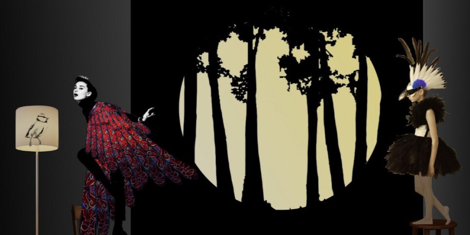 Spectacle pour enfants "Plume" - Family