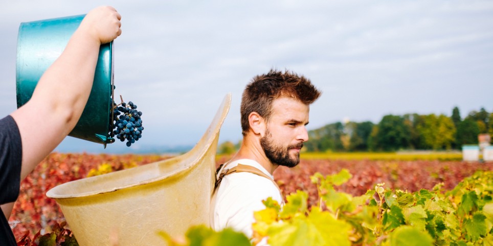 Wine Tasting Evening Domaine du Paradis x WLP - Svaghi