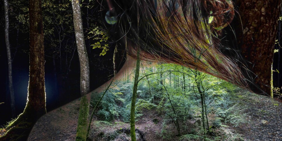 RESTER SAUVAGE - Ballo
