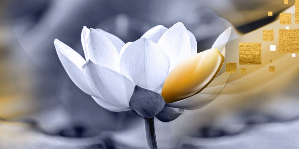 Referat Finanz & Sozialsystem St.Gallen - Formations