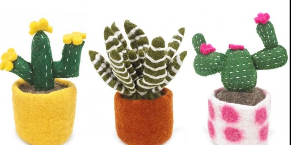 Atelier cactus en laine feutrée - Workshops and courses
