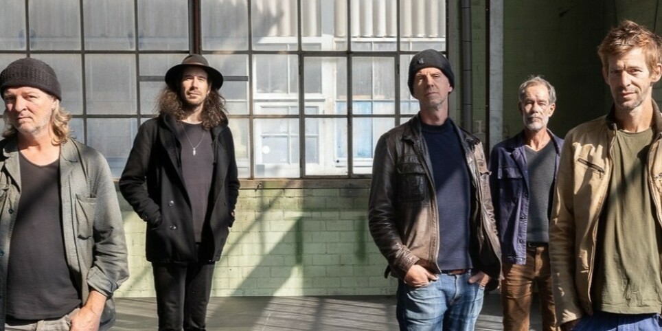 Le Soir des Lions - Culture and shows