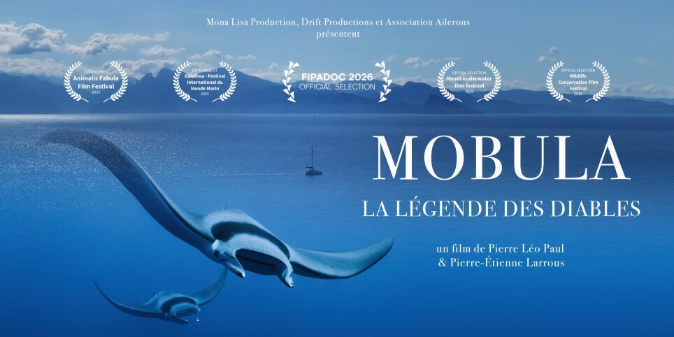 Mobula - la Légende des diables - Cinema