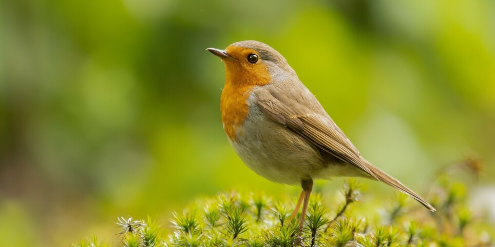 Ateliers 6-8 ans de 9h30 à 11h30 - Familie