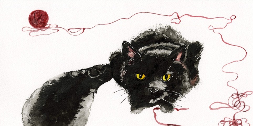 Histoires de bêtes, spectacle visuel et musical de 4 à 104 ans - Culture et spectacles