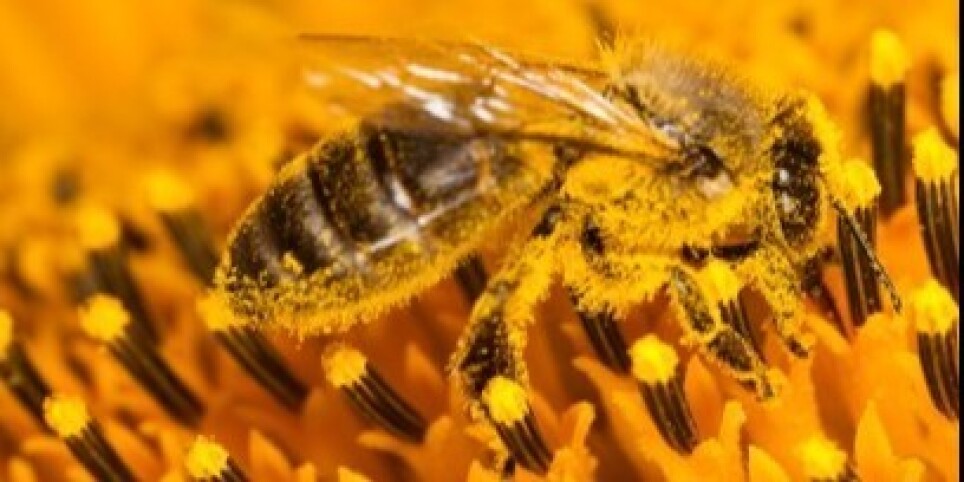 40 EME JOURNÉE ROMANDE D'ALLERGOLOGIE - Formations