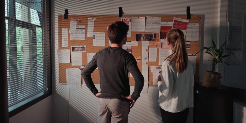 Éclaireurs - Cinéma