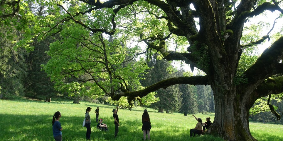 Immersion sauvage de 3 jours sur le Jura - Ateliers et stages