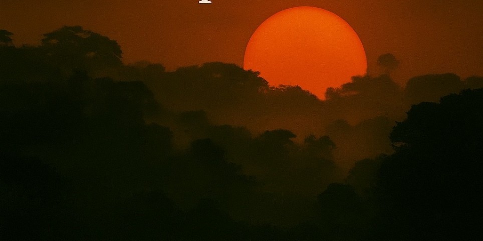 Ah ! Une brève histoire du cri primordial - Theatre and performing arts