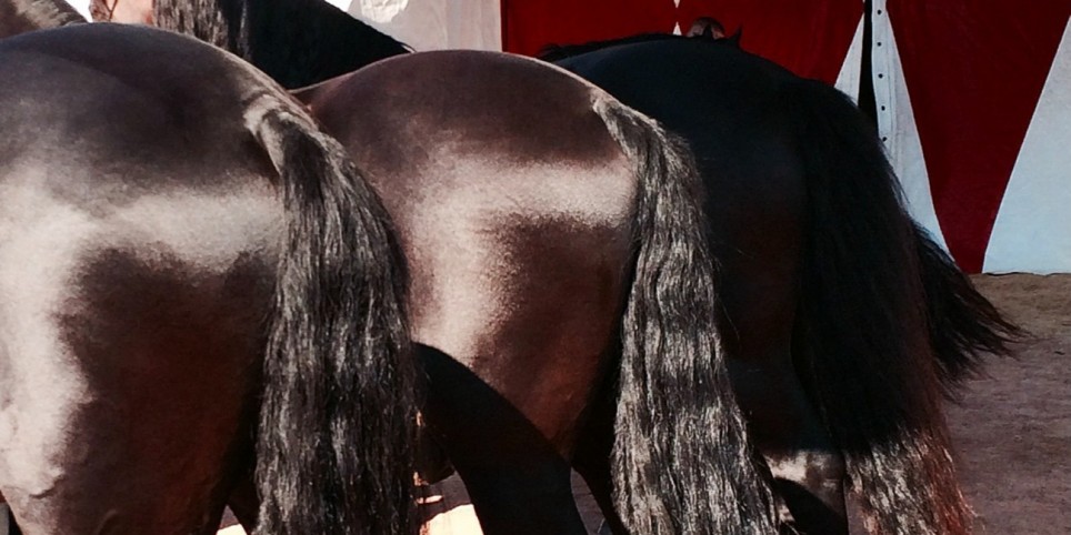 La couleur des choses - Théâtre et arts vivants