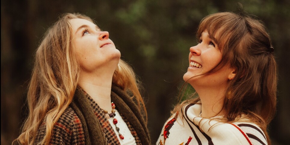 The Woodgies / indie-pop, folk - Concerts