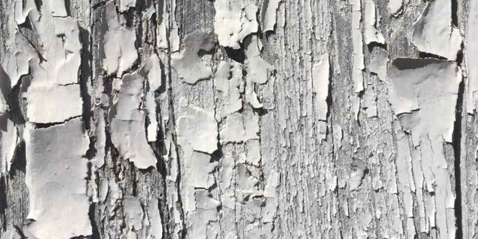 Guided Tour - Cultura e spettacoli