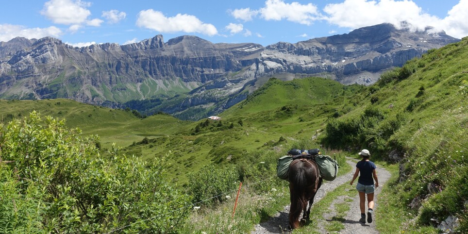Sur les crêtes avec ma ponette - Balade pour petits et grands accompagnée de Kàra - Leisure activities