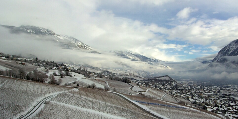 Dîner - Concert de la St-Valentin - Loisirs