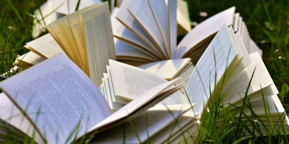 Cozy Fall Reading Camp - Leisure activities