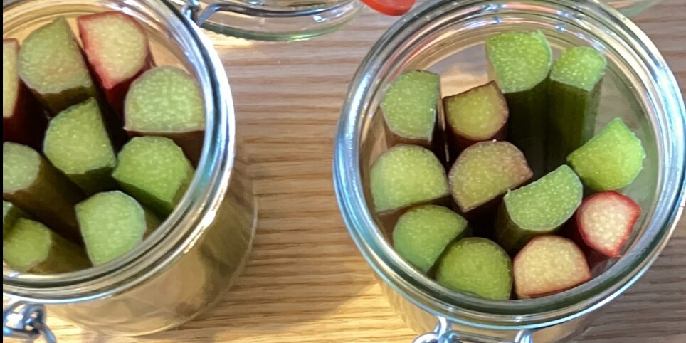 Lactofermentations de printemps (pré-vente à prix spécial) - Workshops und Praktika