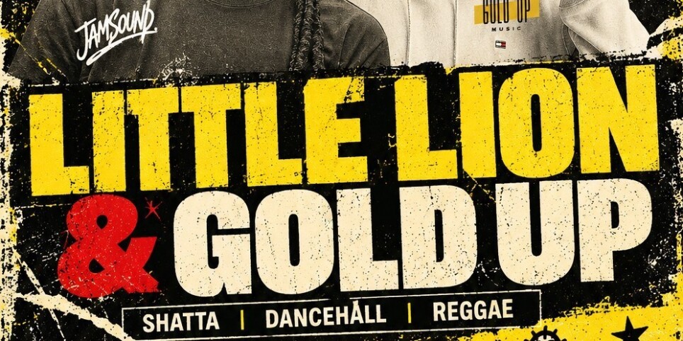 Little Lion and Gold Up - Concerti